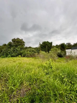 Terreno, foto 2