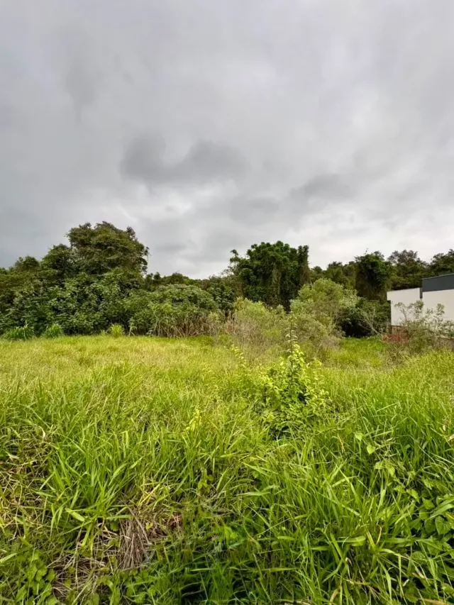 Terreno, foto 2