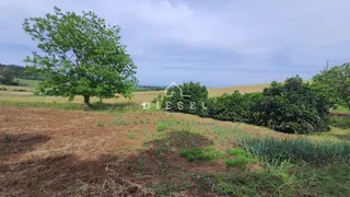 Área rural com 3 dormitórios, foto 13
