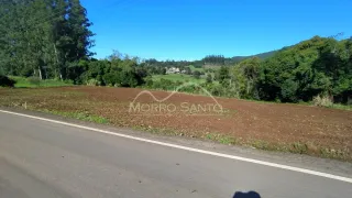 Vista de uma estrada com vegetação densa ao fundo.