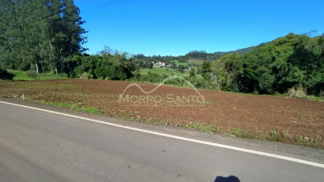 Vista de uma estrada com vegetação densa ao fundo.