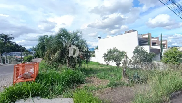 Vista externa de uma residência com vegetação densa no jardim.