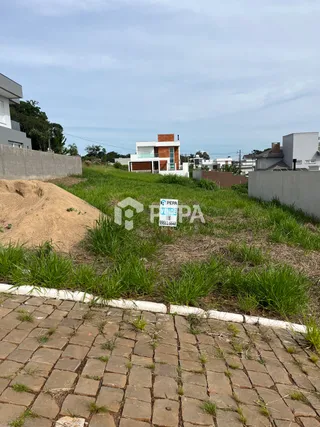 Terreno, foto 2