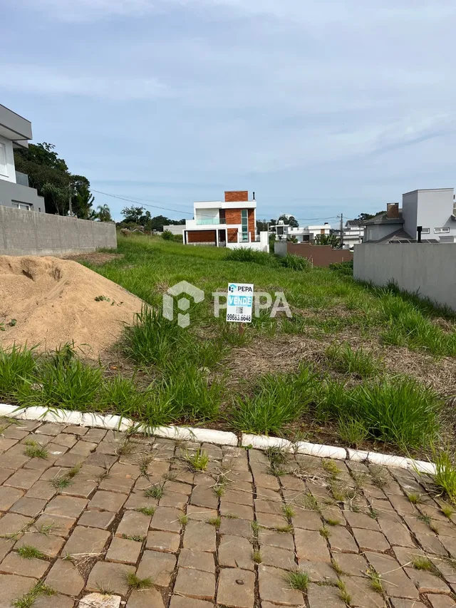Terreno, foto 2