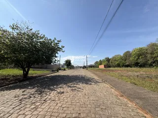 Vista da rua pavimentada com árvores ao fundo.