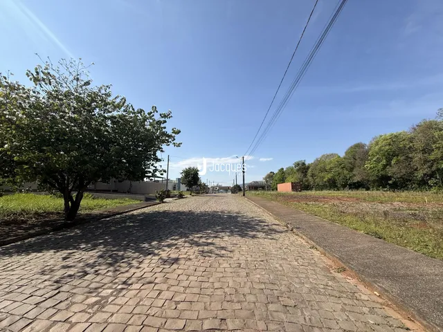 Vista da rua pavimentada com árvores ao fundo.