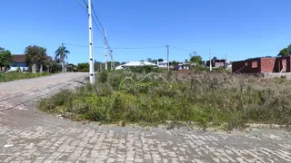 Terreno, foto 3