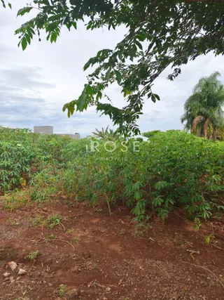 Terreno, foto 4