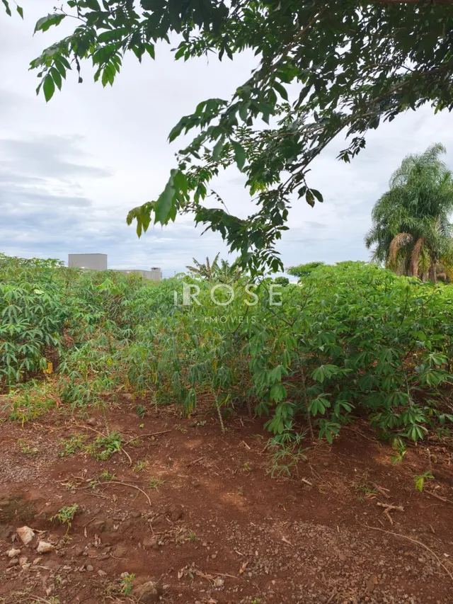 Terreno, foto 4