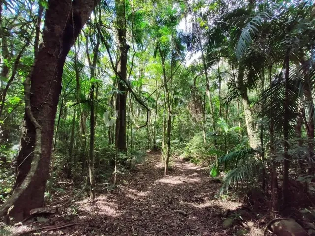 Área rural