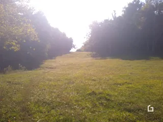 Campo gramado cercado por árvores sob luz solar intensa.