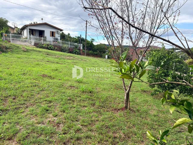 Terreno, foto 3