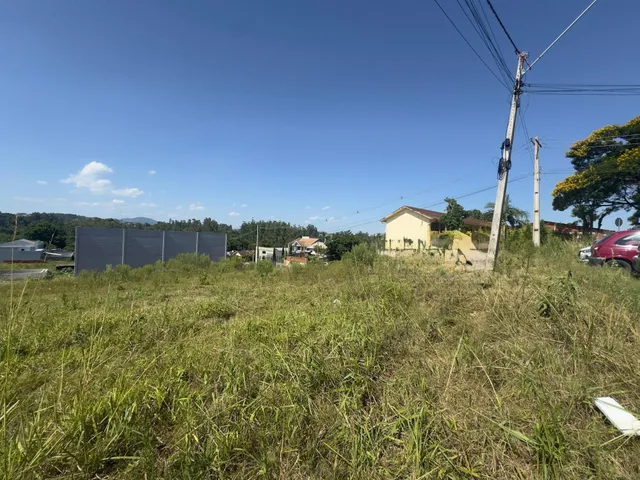 Paisagem de campo com grama alta em primeiro plano e estruturas ao fundo sob um céu azul.
