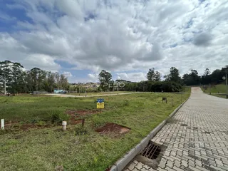 Vista externa de um terreno com gramado e caminho de terra em Lajeado.