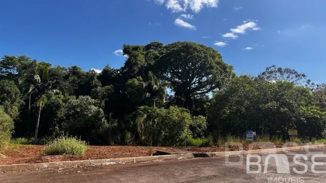 Terreno