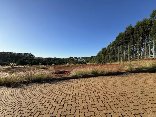 Vista da propriedade com área pavimentada e vegetação ao fundo.