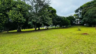 Campo verde com árvores ao redor.
