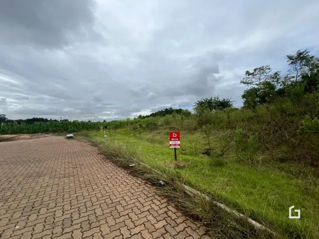 Terreno, foto 3