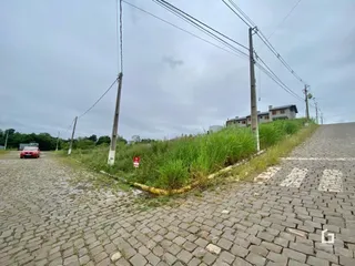 Vista da rua com vegetação e postes de luz em Lajeado, Brasil.