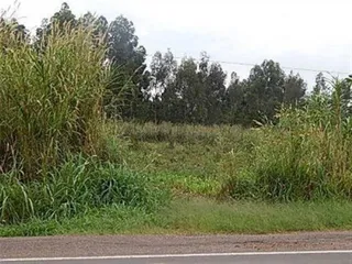 Terreno, foto 3