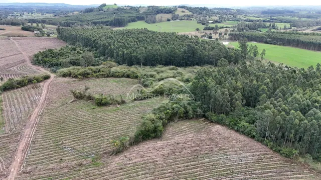Vista aérea de terras agrícolas e vegetação densa em Lajeado.