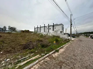 Vista externa de casas em uma rua com vegetação alta e calçada de paralelepípedos.