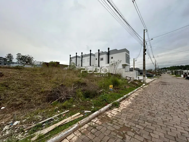 Vista externa de casas em uma rua com vegetação alta e calçada de paralelepípedos.