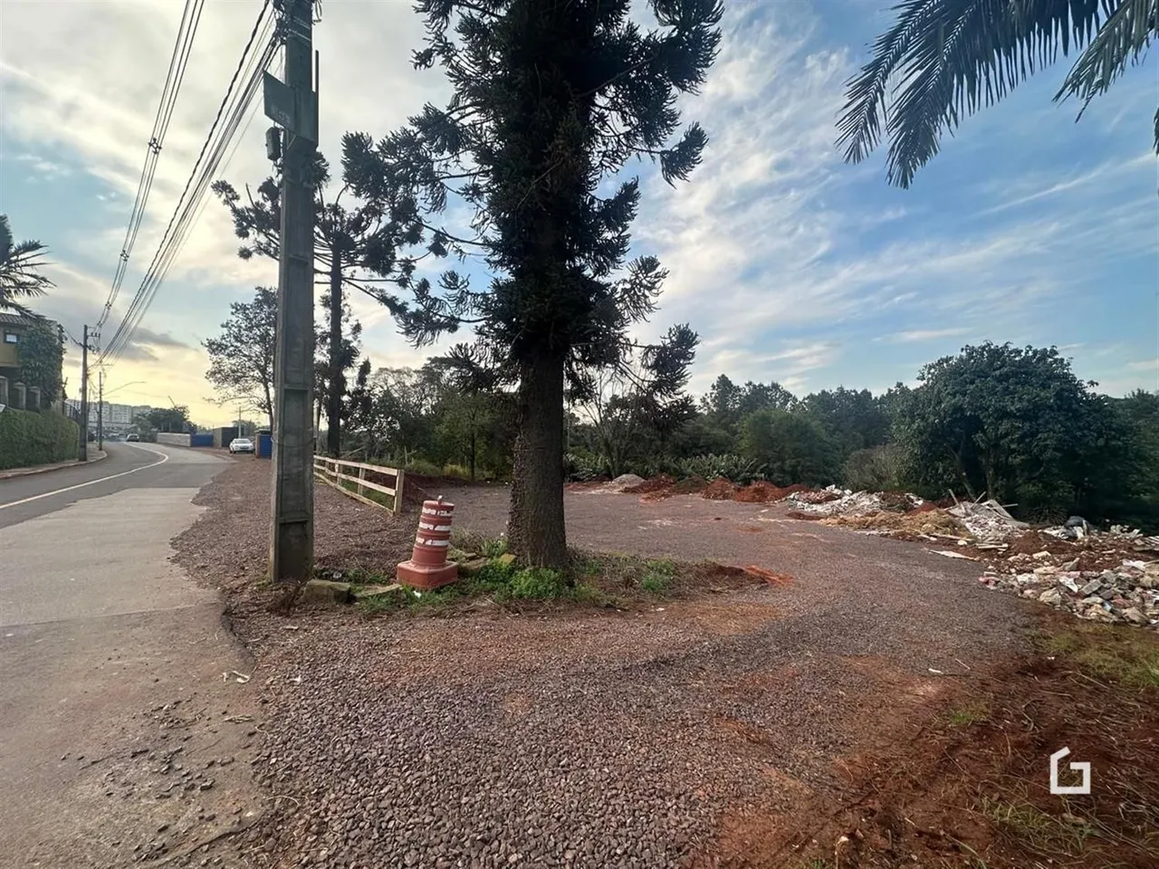 Vista da propriedade ao longo da estrada com vegetação e terra exposta.