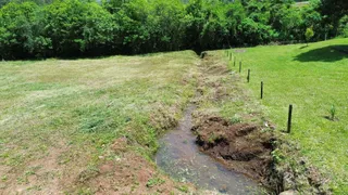 Vista de um campo gramado com vegetação densa ao fundo.