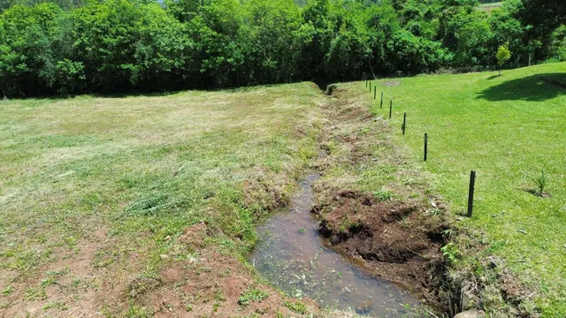 Vista de um campo gramado com vegetação densa ao fundo.