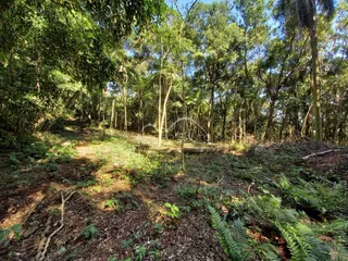 Área rural, foto 7