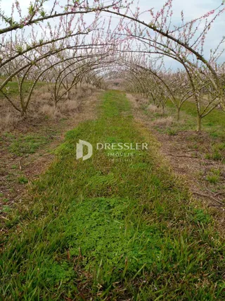 Área rural, foto 2