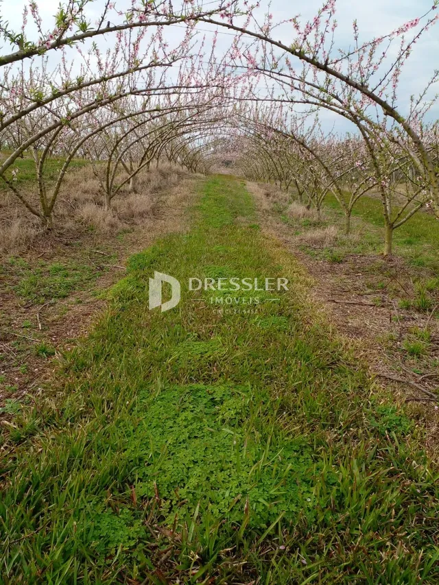 Área rural, foto 2