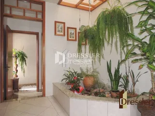 Ambiente interno com decoração e plantas em uma sala de estar.