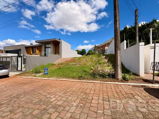 Terreno, foto 5