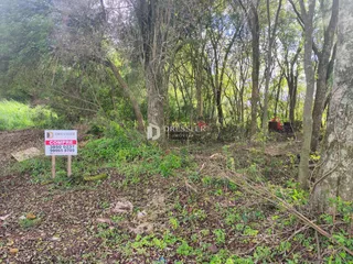 Terreno, foto 2