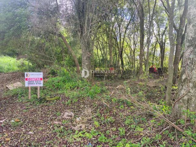 Terreno, foto 2