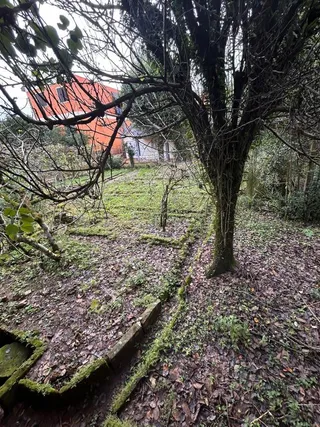 Casa, foto 3