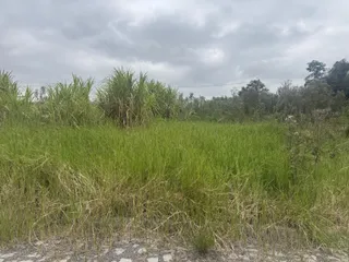 Terreno, foto 4