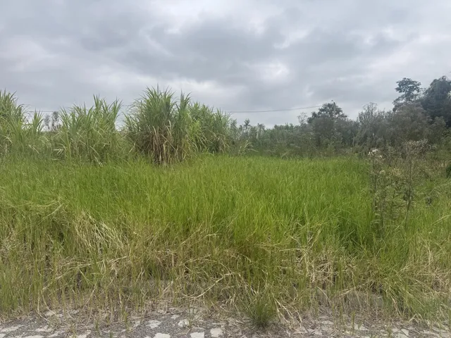 Terreno, foto 4