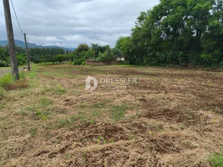 Terreno, foto 3