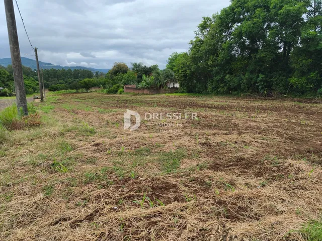 Terreno, foto 3