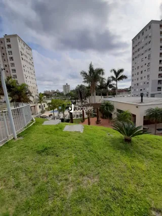 Vista de um gramado com palmeiras em uma área residencial.