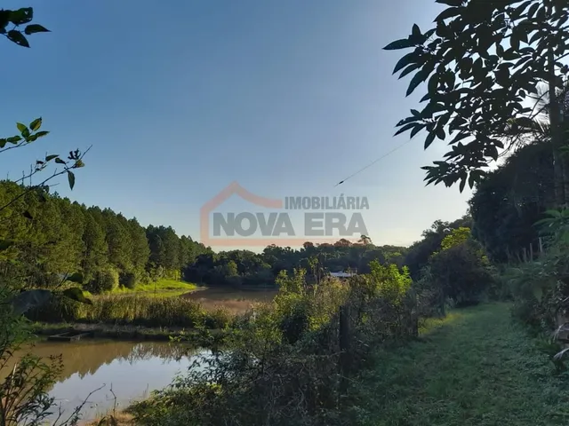 Área rural com 4 dormitórios, foto 3