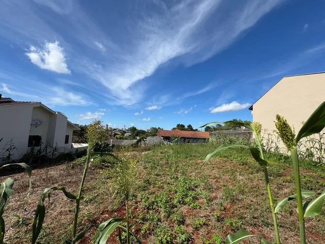Vista externa de um terreno com vegetação densa em Lajeado, Brasil.
