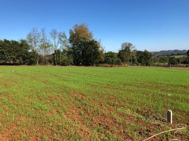 Terreno