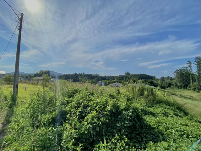 Terreno, foto 2