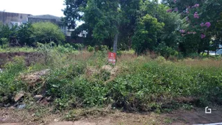 Área externa com vegetação densa e arbustos