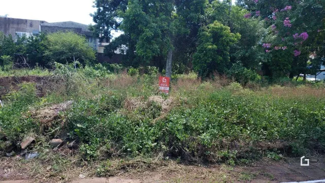 Área externa com vegetação densa e arbustos