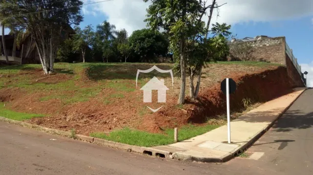 Parede de contenção de terra com vegetação ao lado de uma estrada.